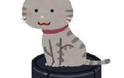＜こうえんじ通信＞ネコにあって犬にないモノ