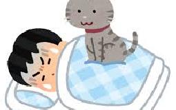 睡眠の質